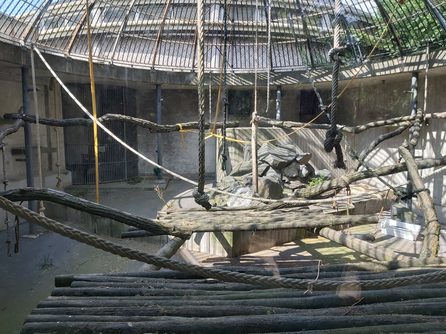Enclosure for gorilla Nasibu