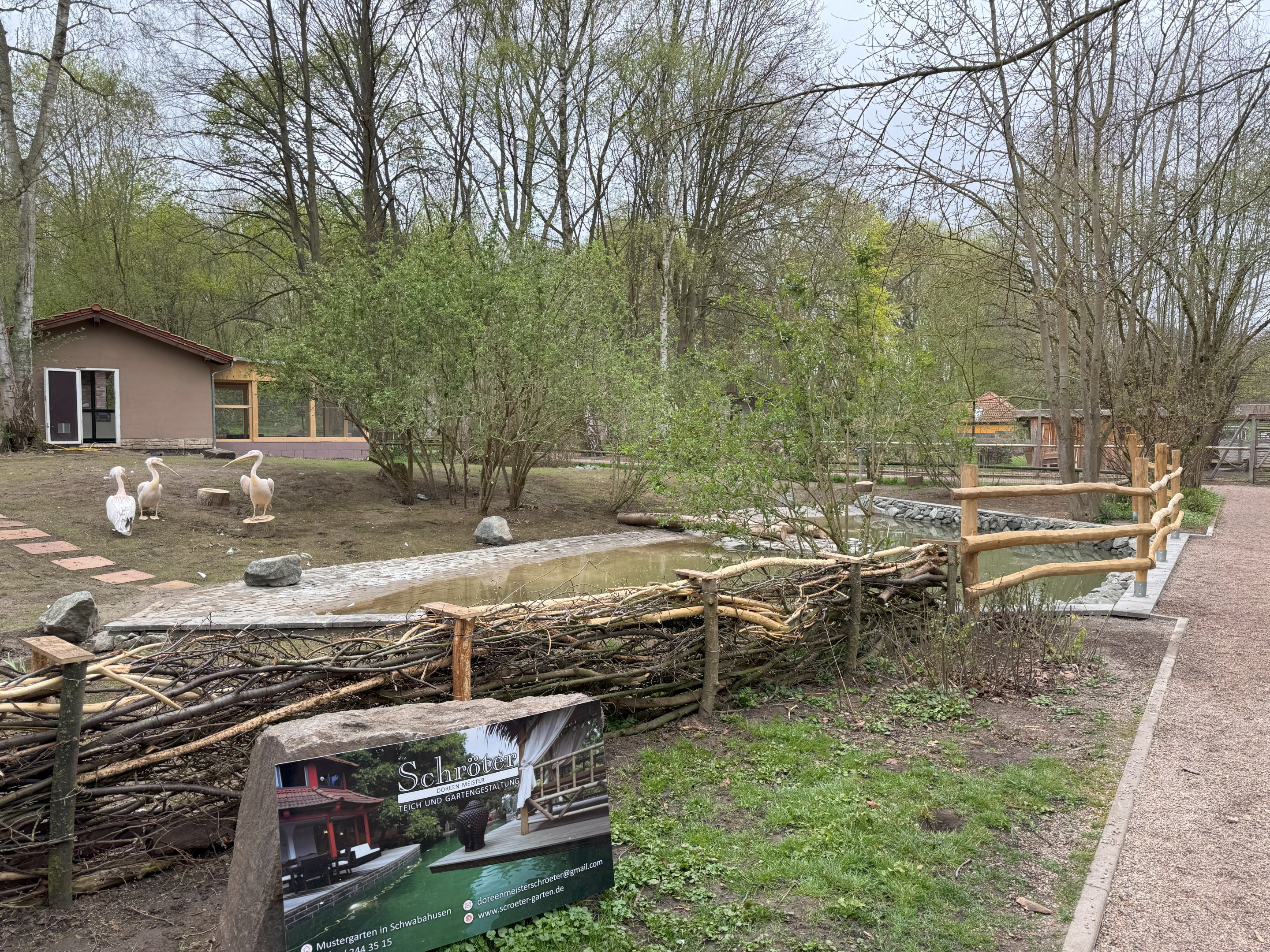 Enclosure for Great white pelican (Pelecanus onocrotalus)