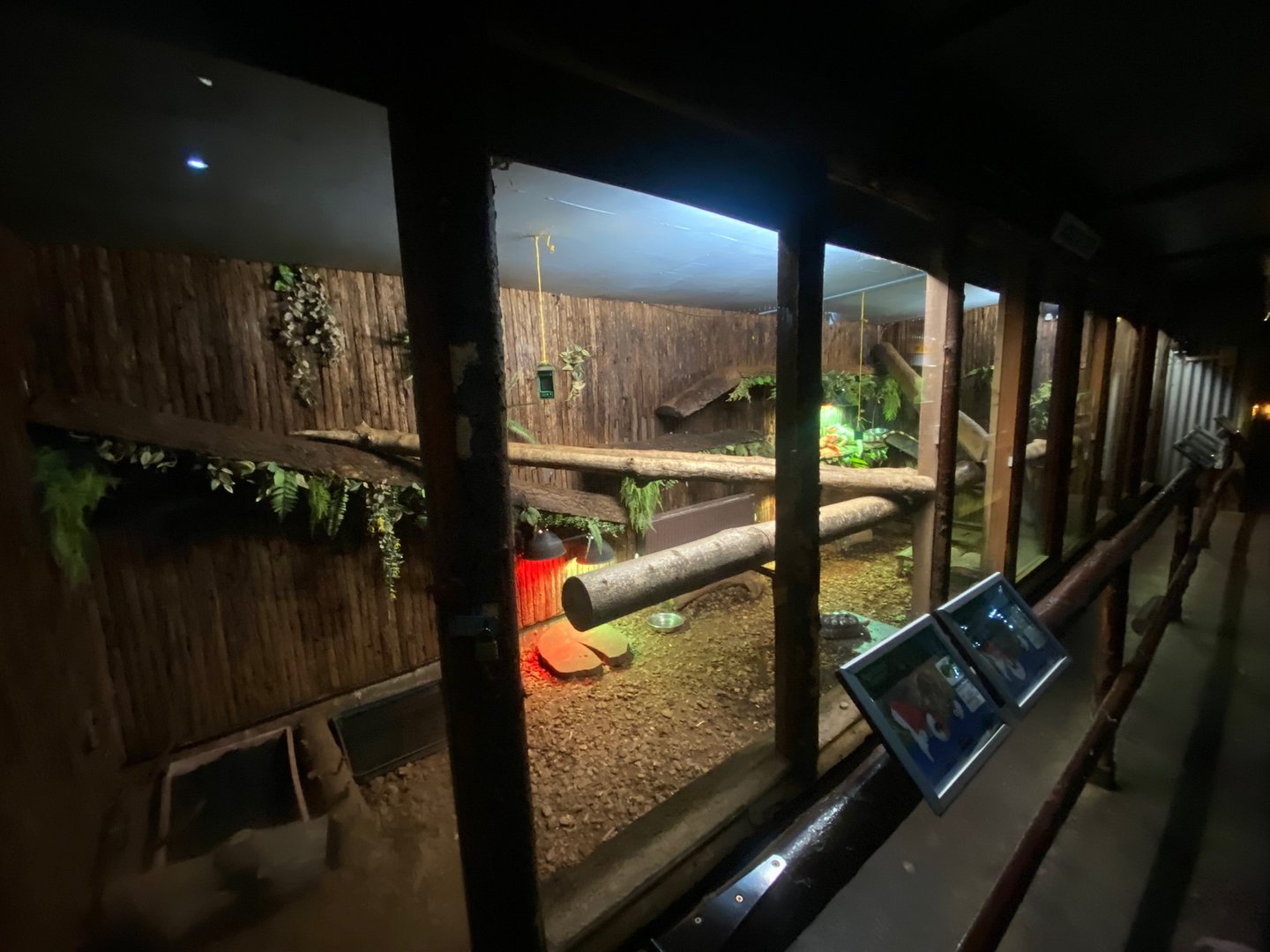 Enclosure for Green Iguana and Red-footed tortoise 140923
