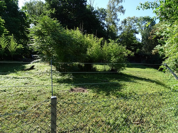 Enclosure for grey kangaroos (07/22)