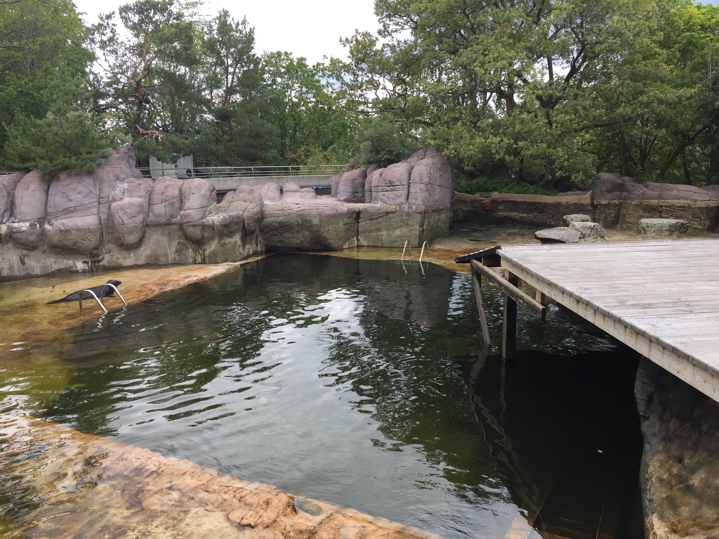 Enclosure for Grey seals