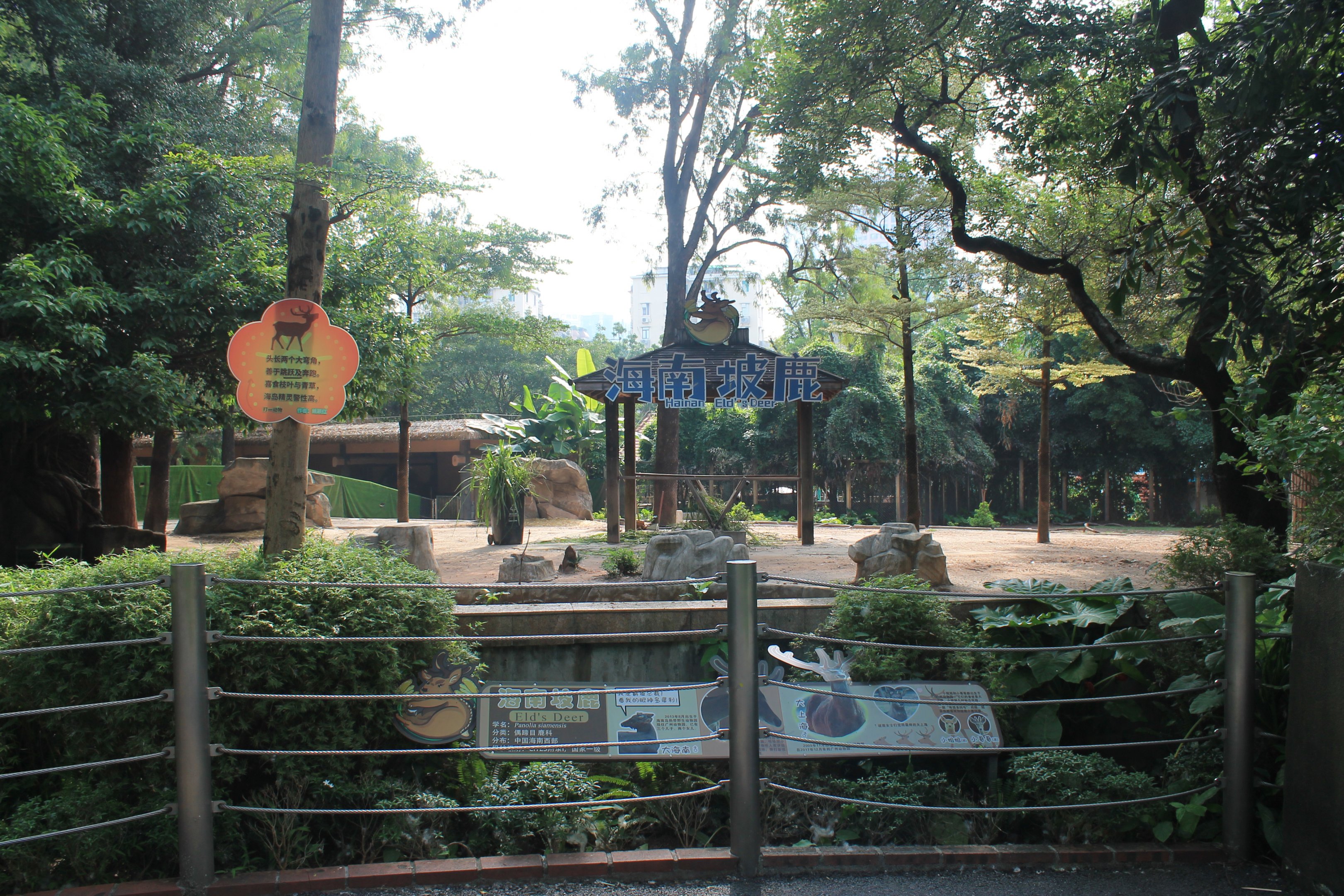 Enclosure for Hainan Eld's Deer (Cervus eldii hainanus)
