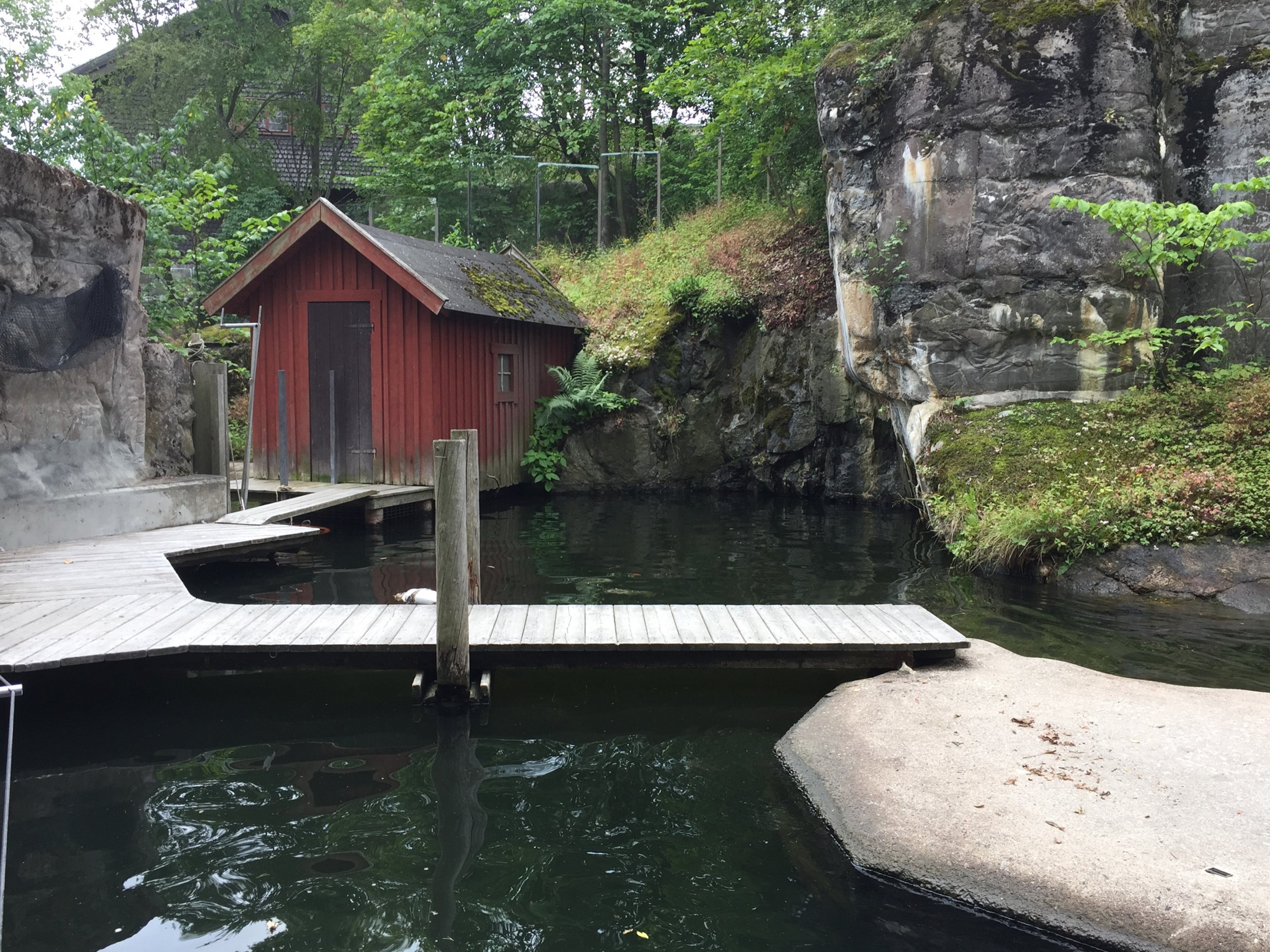 Enclosure for Harbor seals