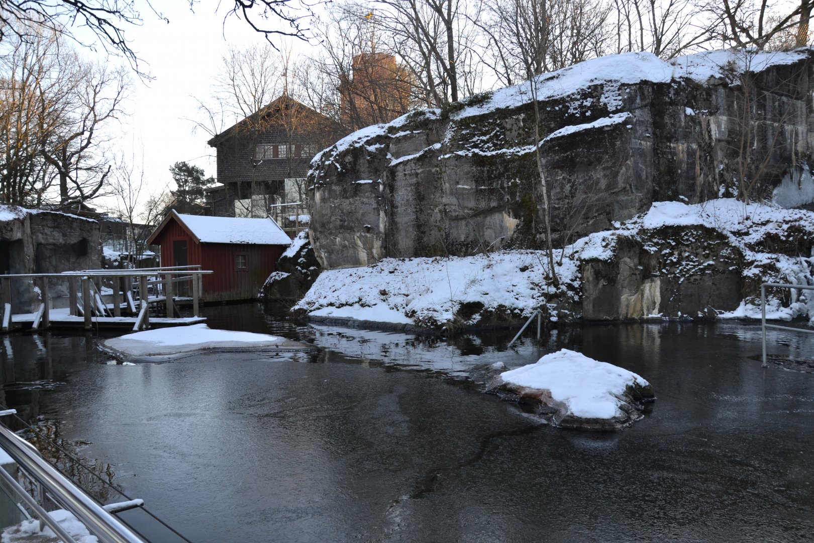 Enclosure for harbour seal at Skansen, Stockholm