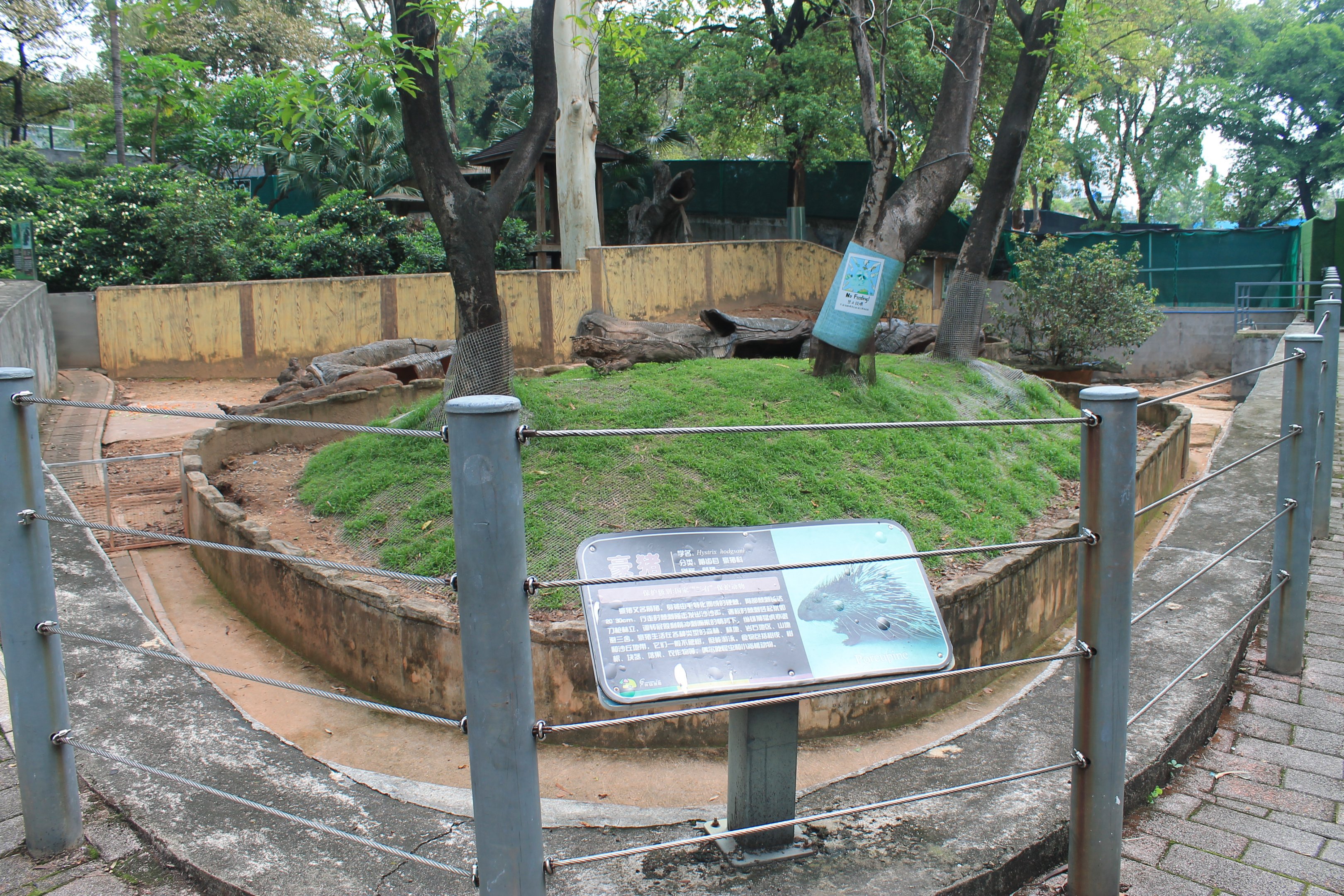Enclosure for Himalayan Porcupine (Hystrix brachyura hodgsonii)