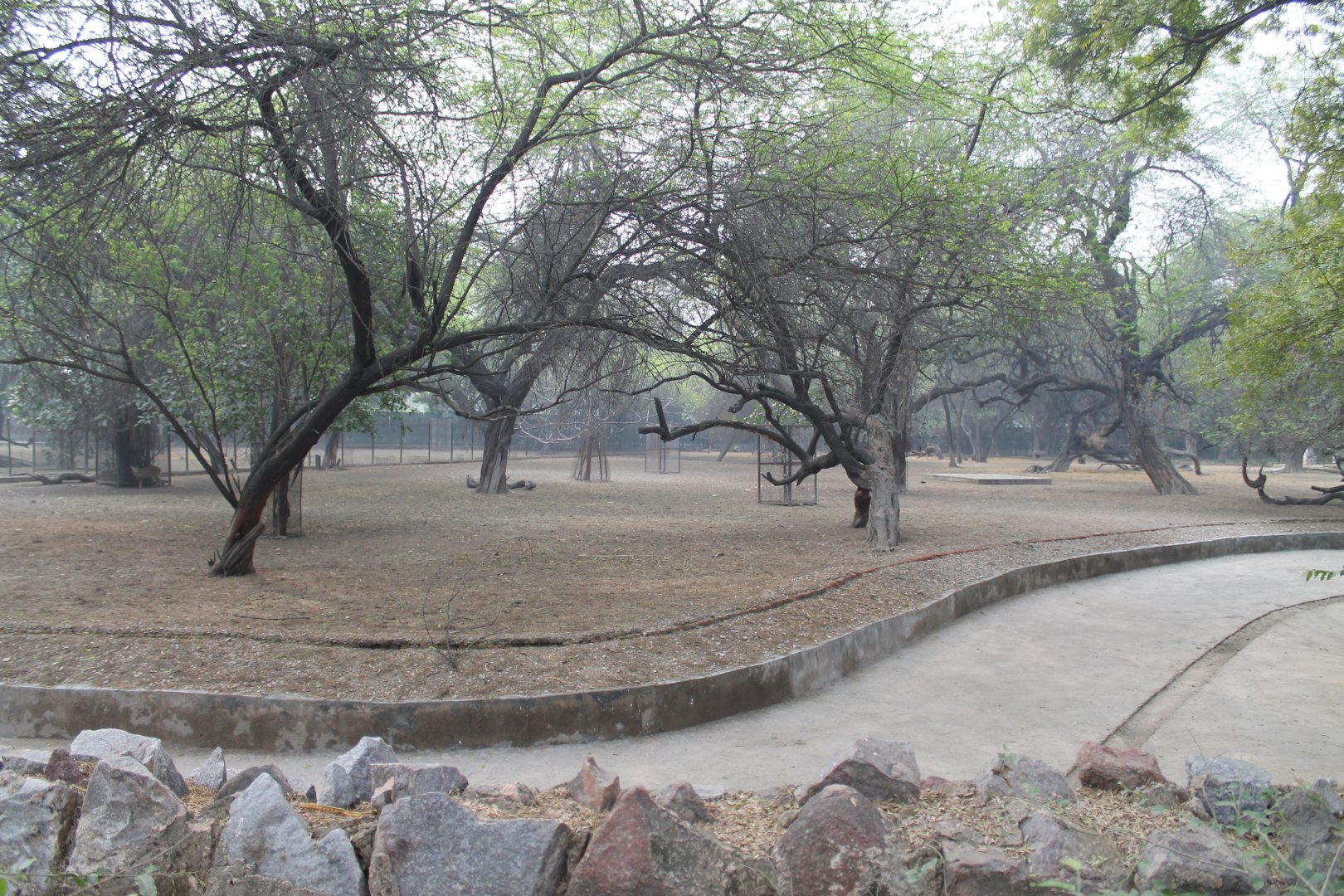 enclosure for Hog Deer