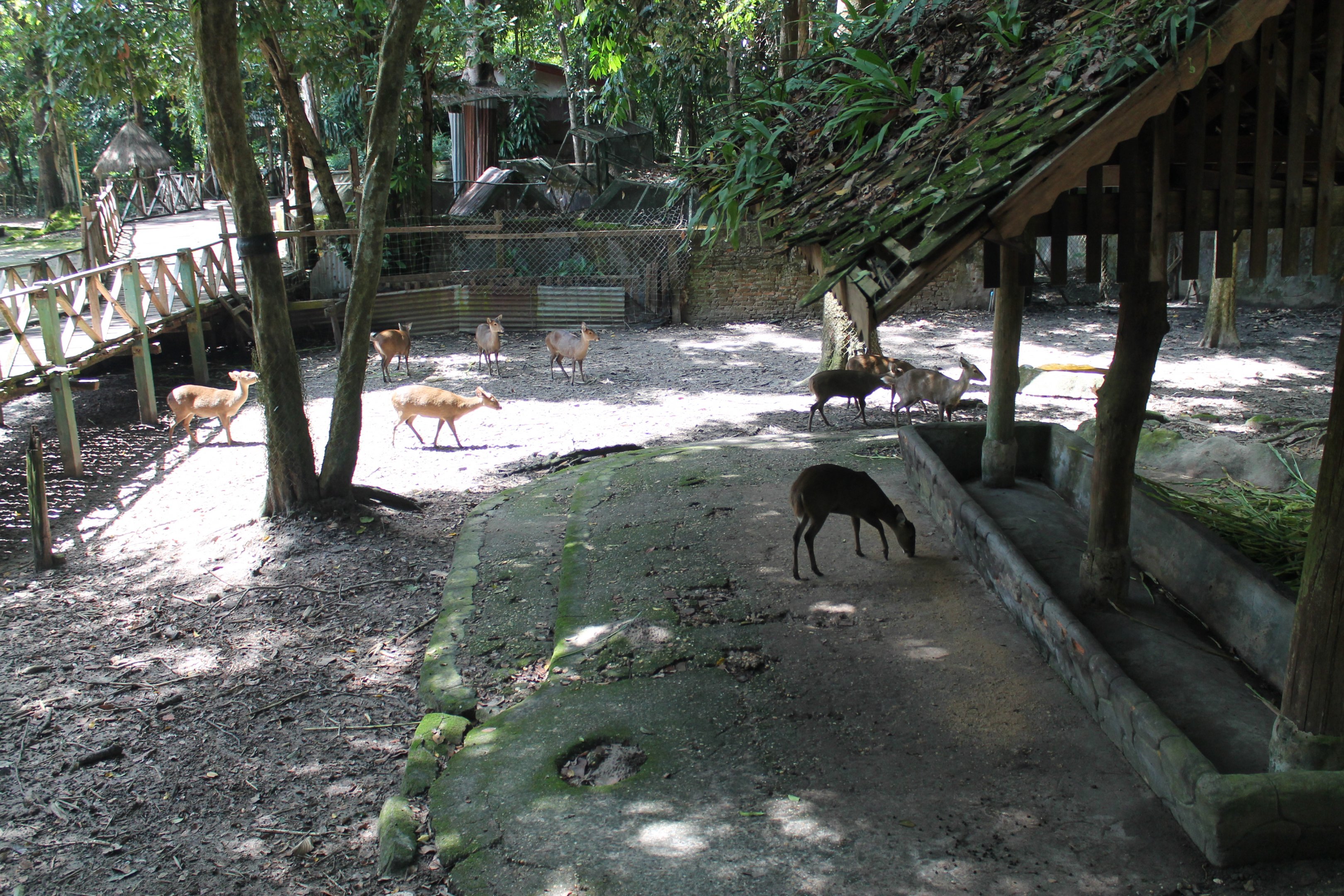 enclosure for Hog Deer