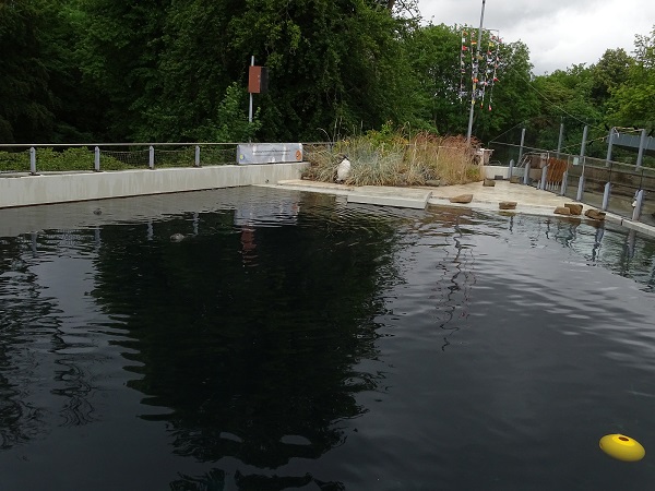 Enclosure for Humboldt penguins and harbor seals (07/22)