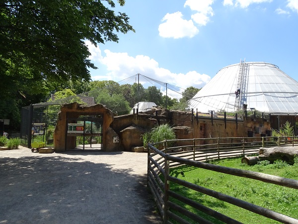 Enclosure for Humboldt penguins and inca terns (07/22)