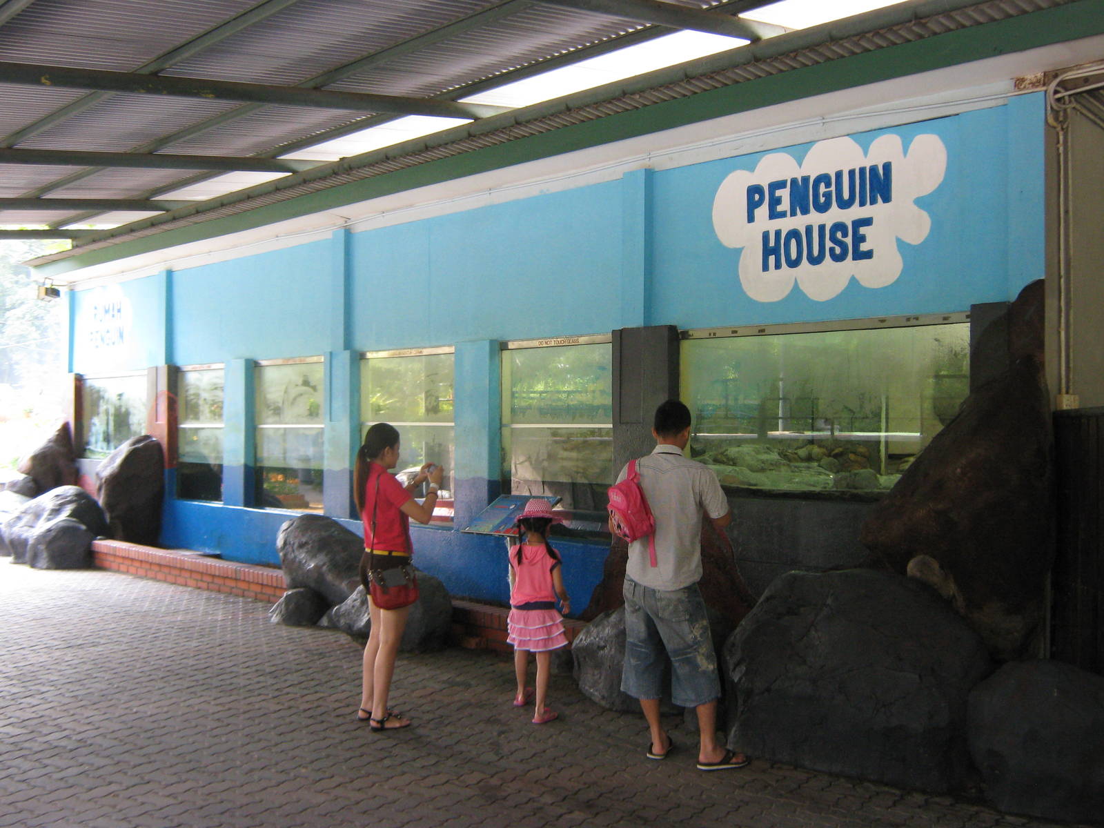 enclosure for Humboldts penguins (Spheniscus humboldti)