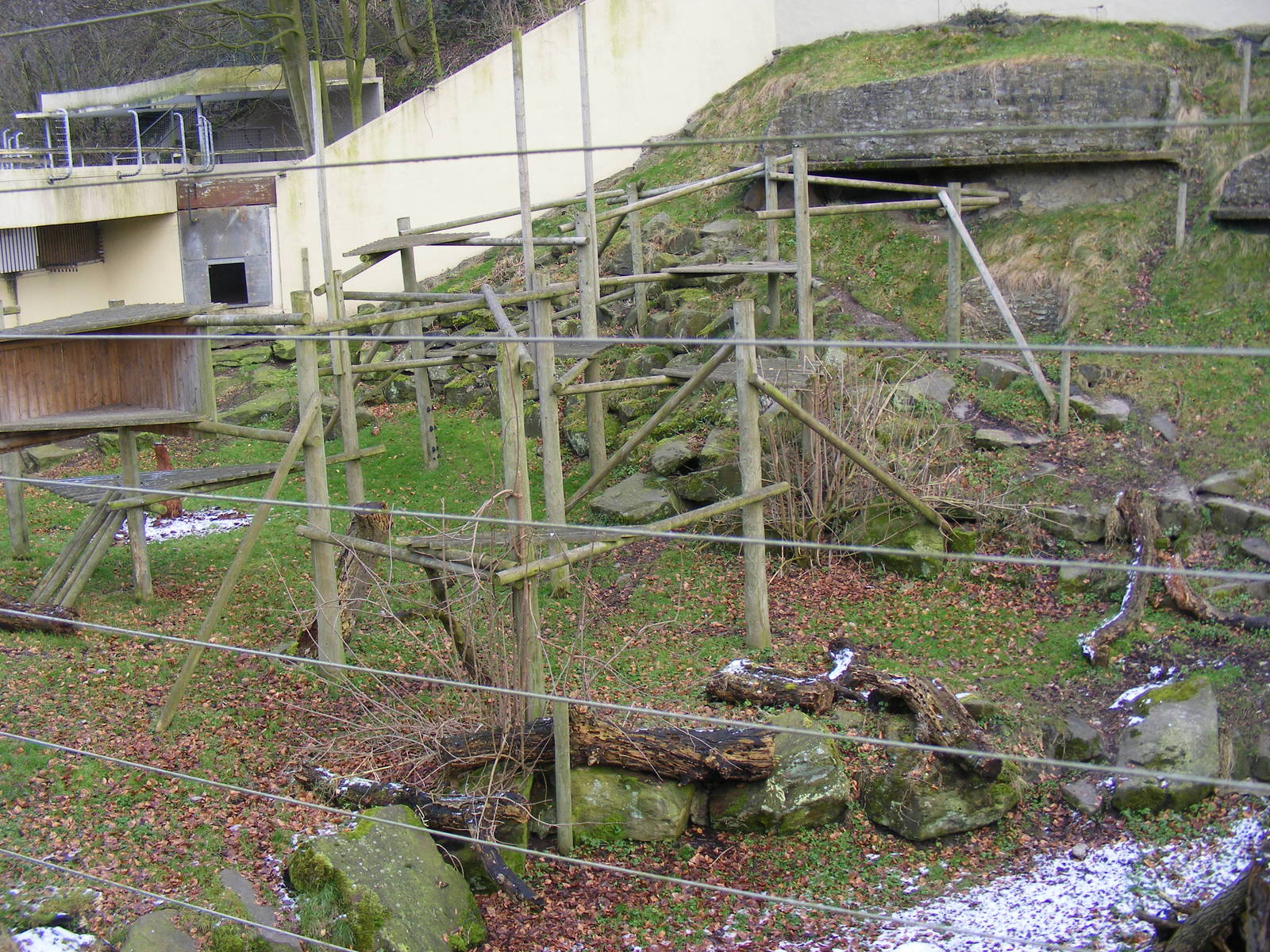 Enclosure for Inca the Asiatic black bear at Dudley Zoo, 12 February 2010