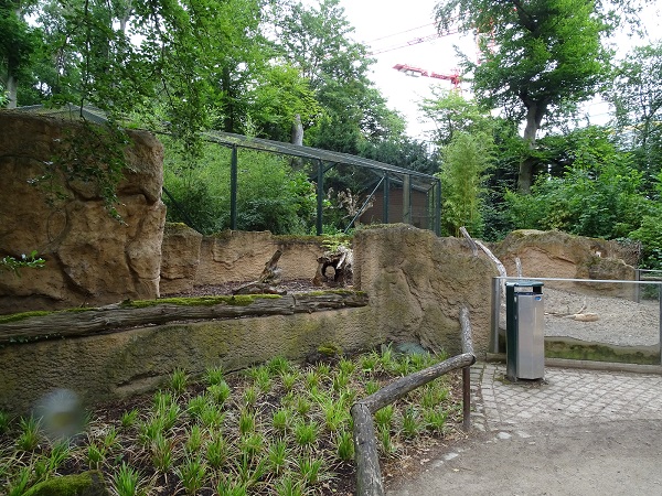 Enclosure for Indian crested porcupines (07/22)