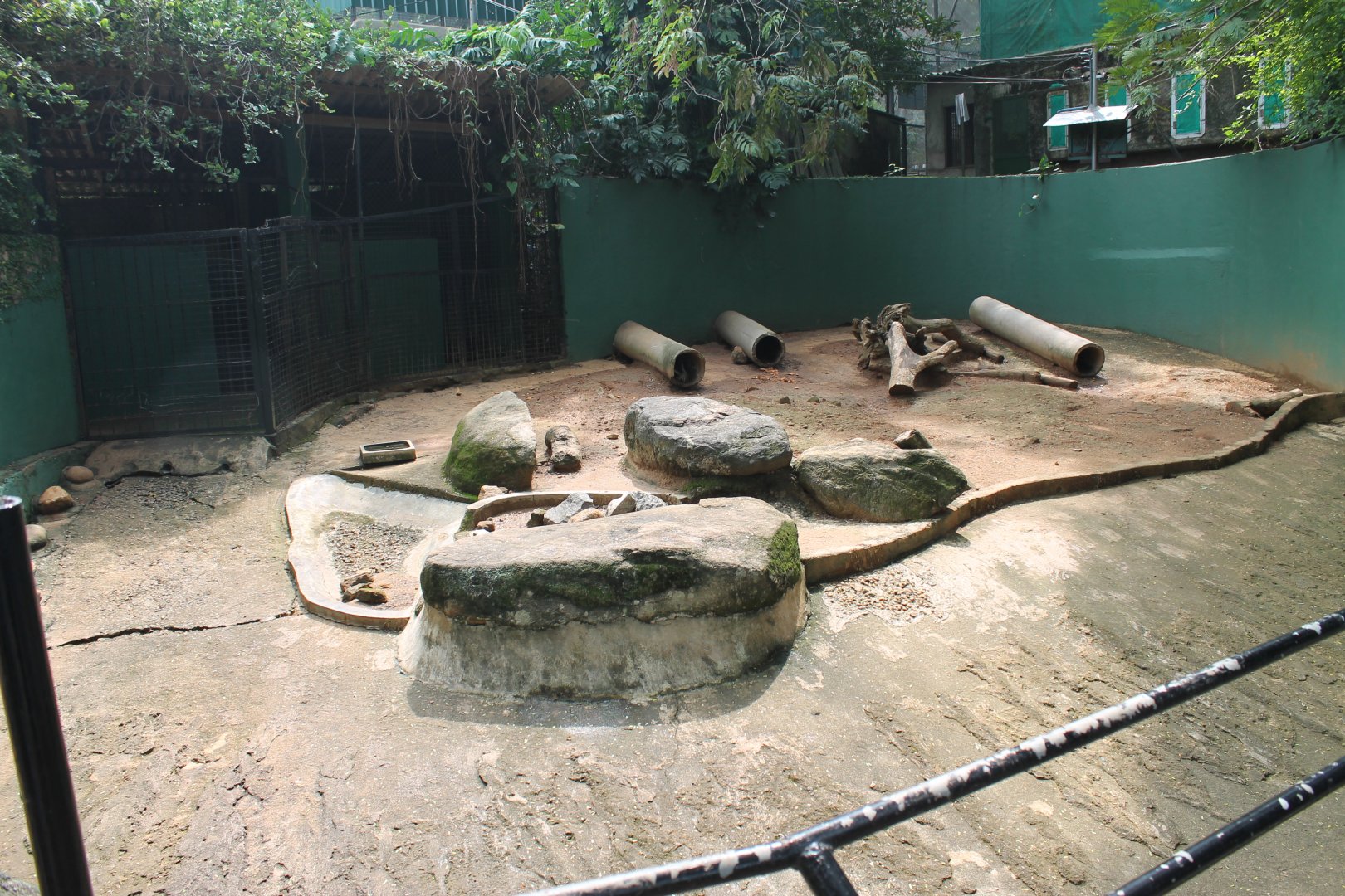 enclosure for Indian Crested Porcupines (Hystrix indica)