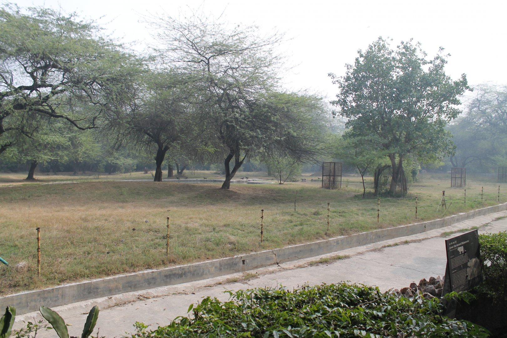enclosure for Indian Rhinoceros