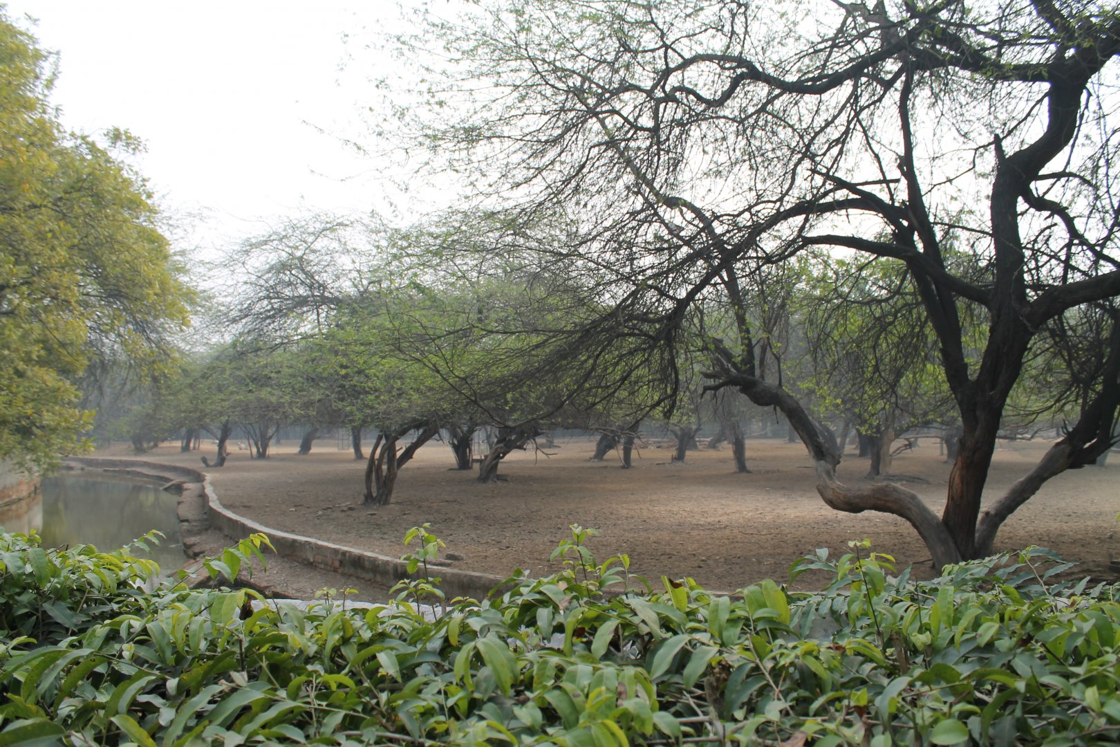 enclosure for Indian ungulates