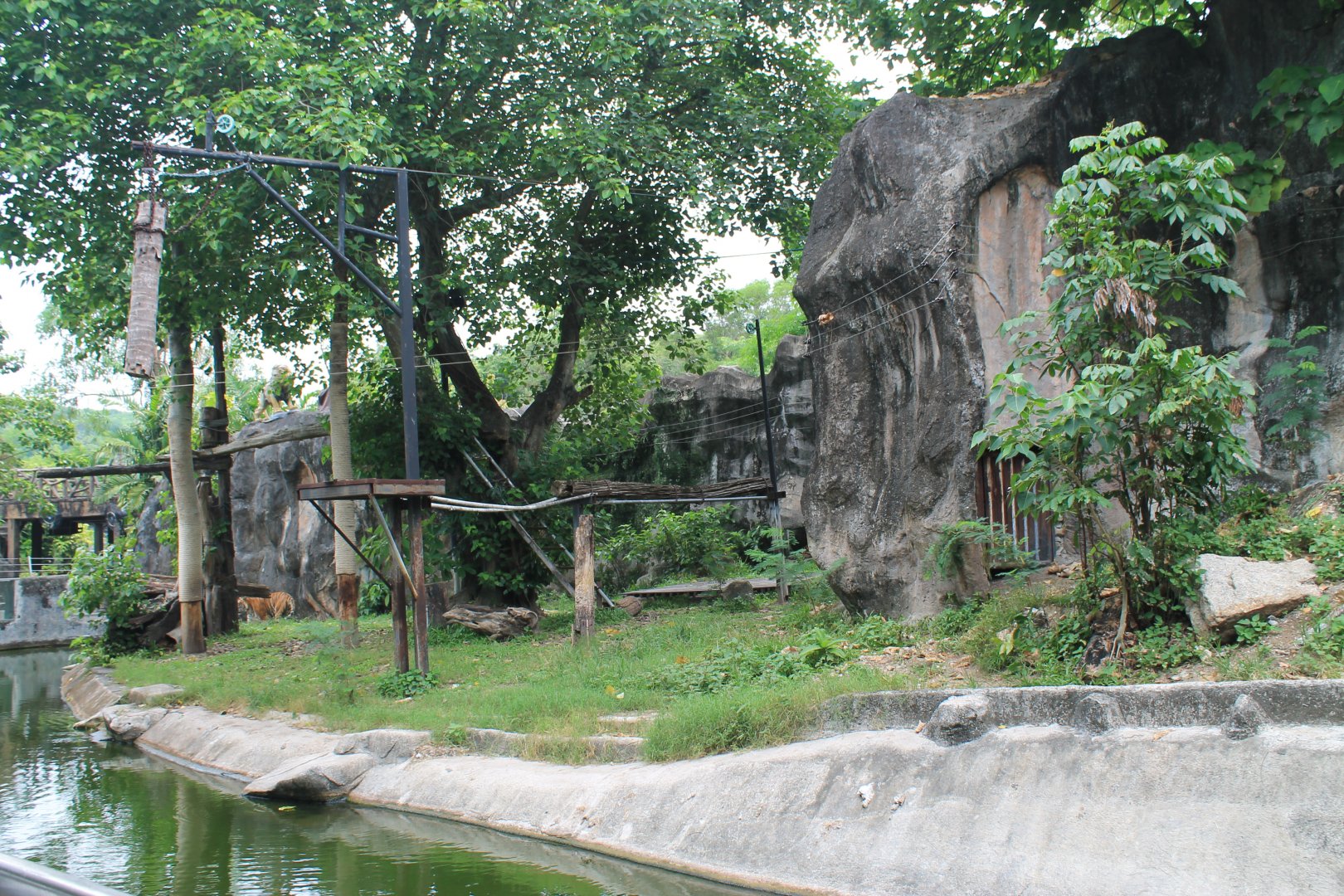 enclosure for Indochinese Tigers