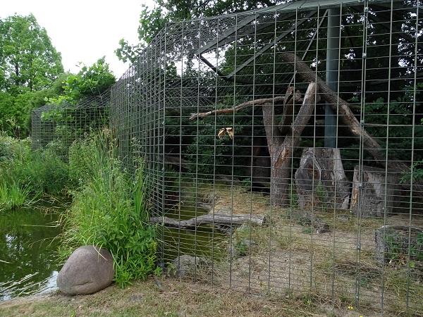 Enclosure for jaguar (07/22)