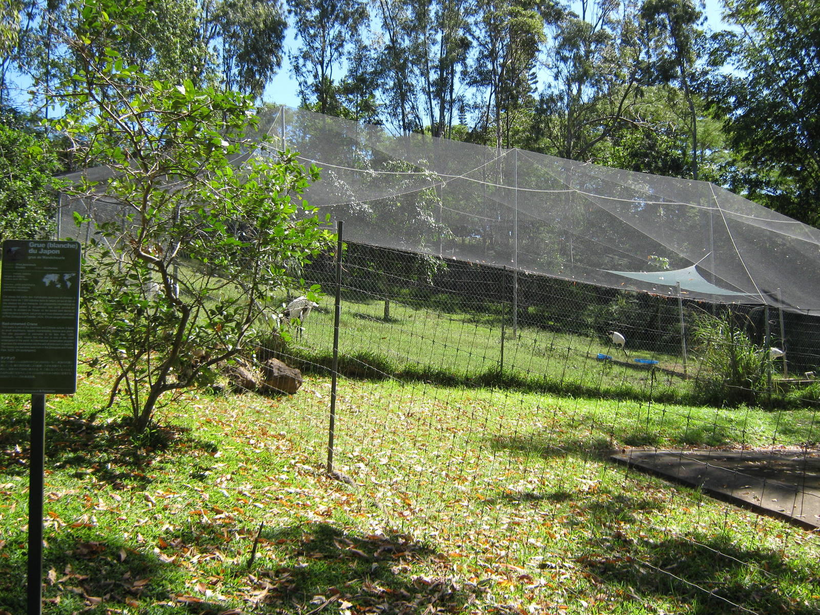enclosure for Japanese red-crowned cranes