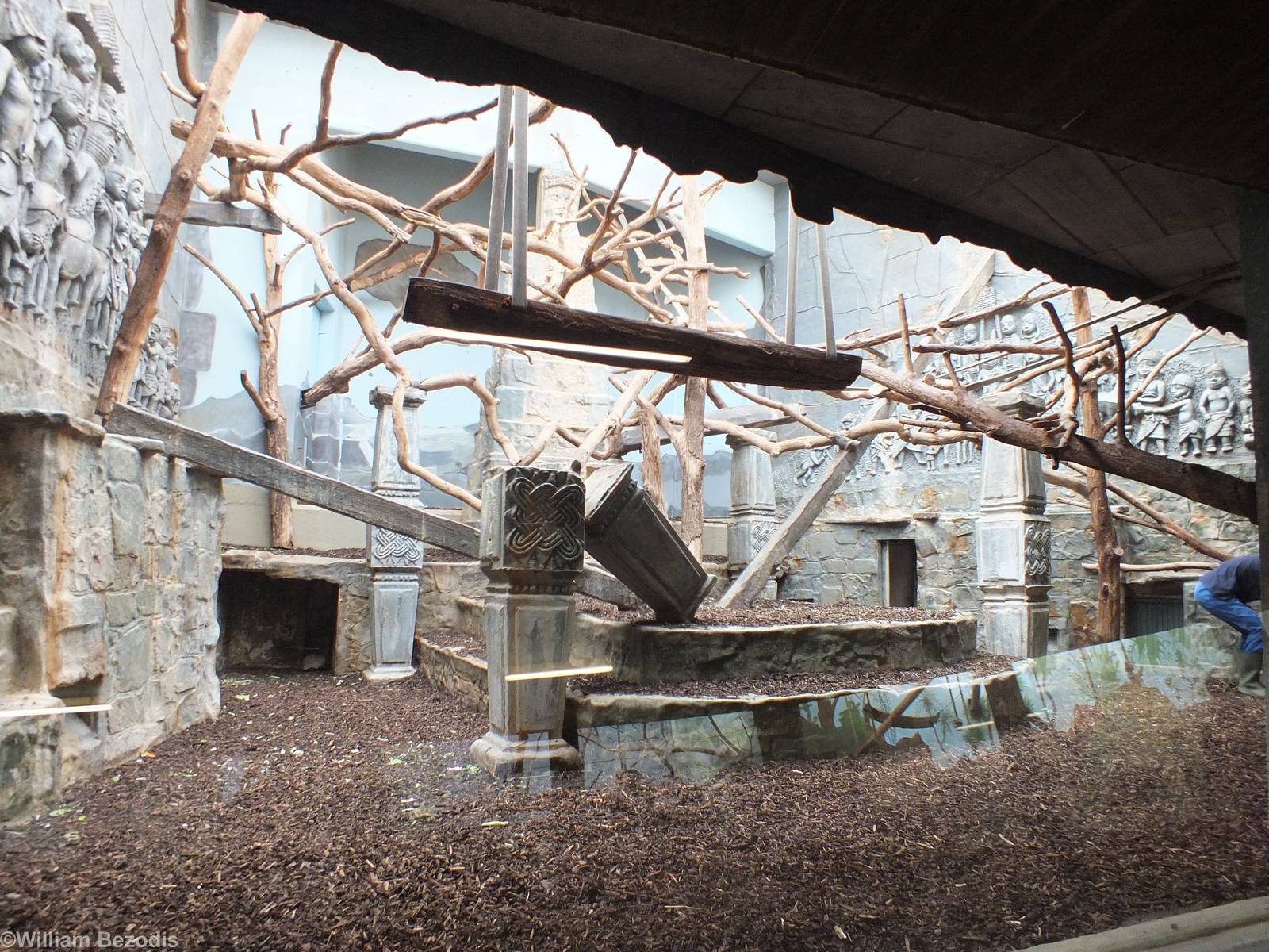 Enclosure for Javan Langurs