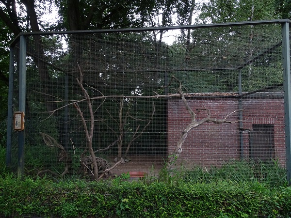 Enclosure for keas (07/22)