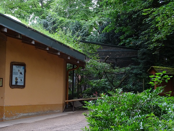 Enclosure for king vultures (07/22)