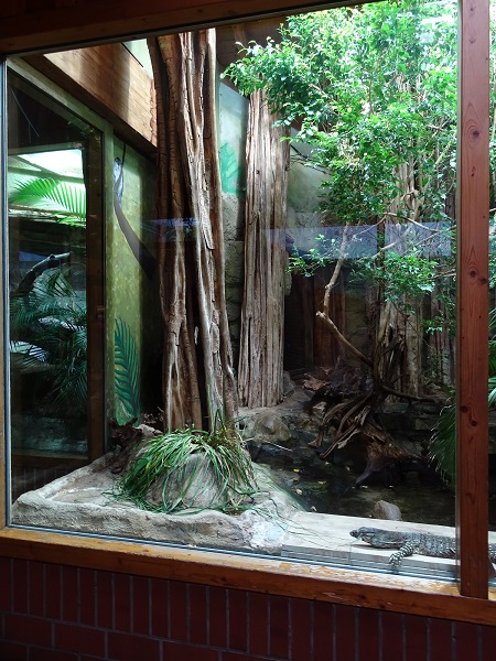 Enclosure for lace monitor (07/22)