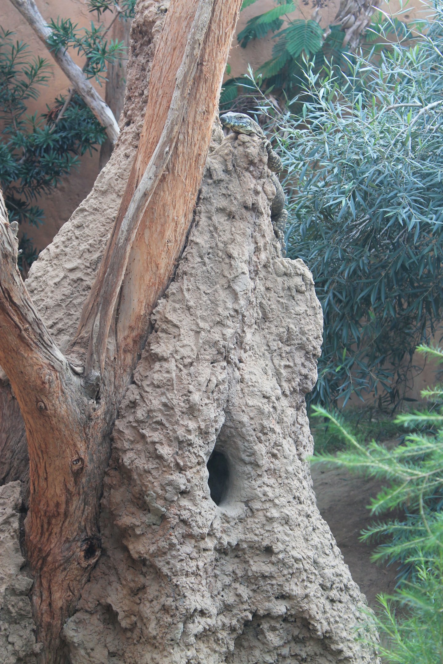 enclosure for Lace Monitors