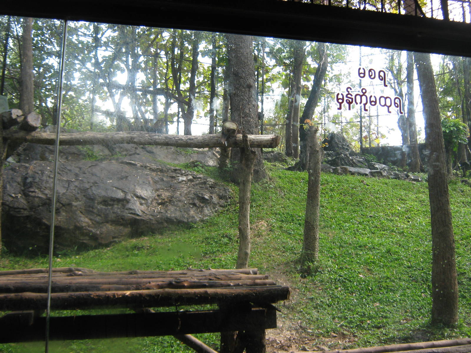 enclosure for Leopard (Panthera pardus)