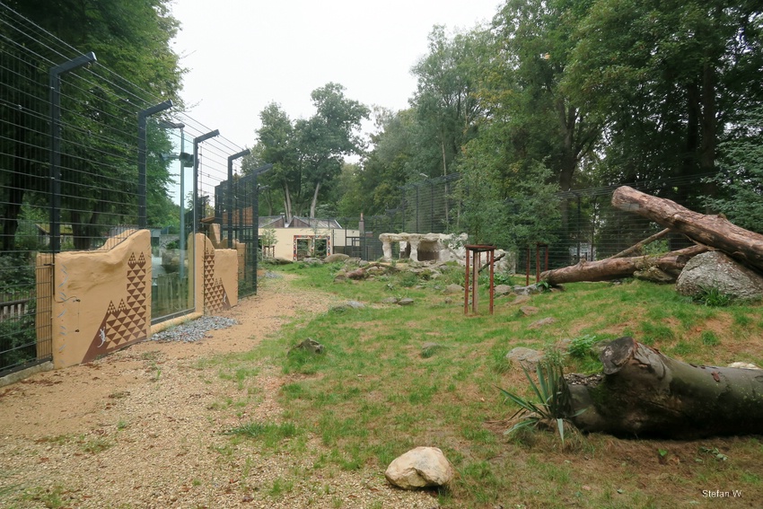 Enclosure for  lions