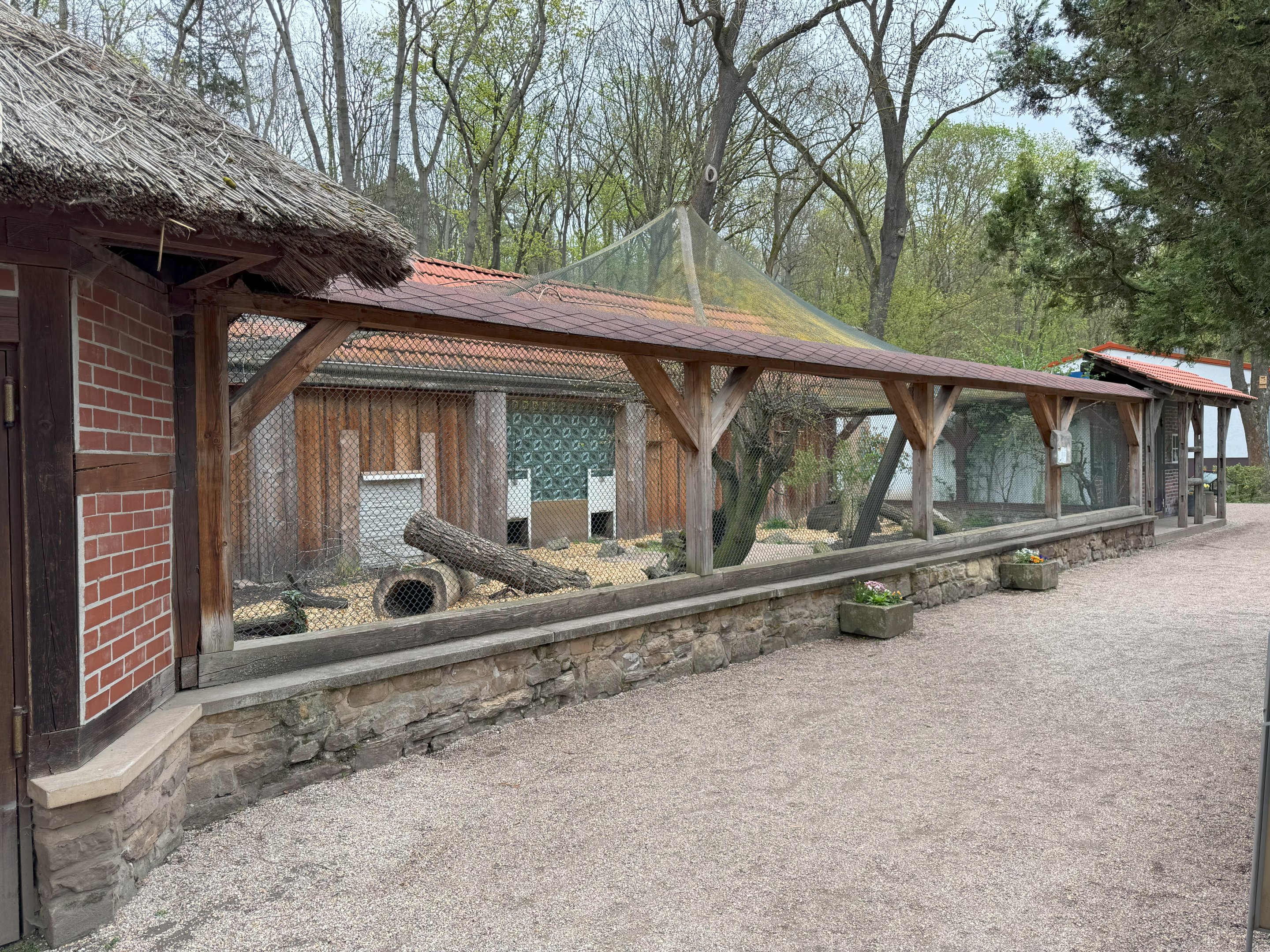 Enclosure for Lowland paca (Cuniculus paca)