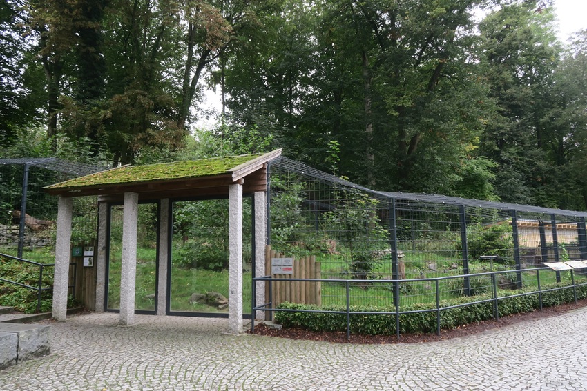 Enclosure for  lynx
