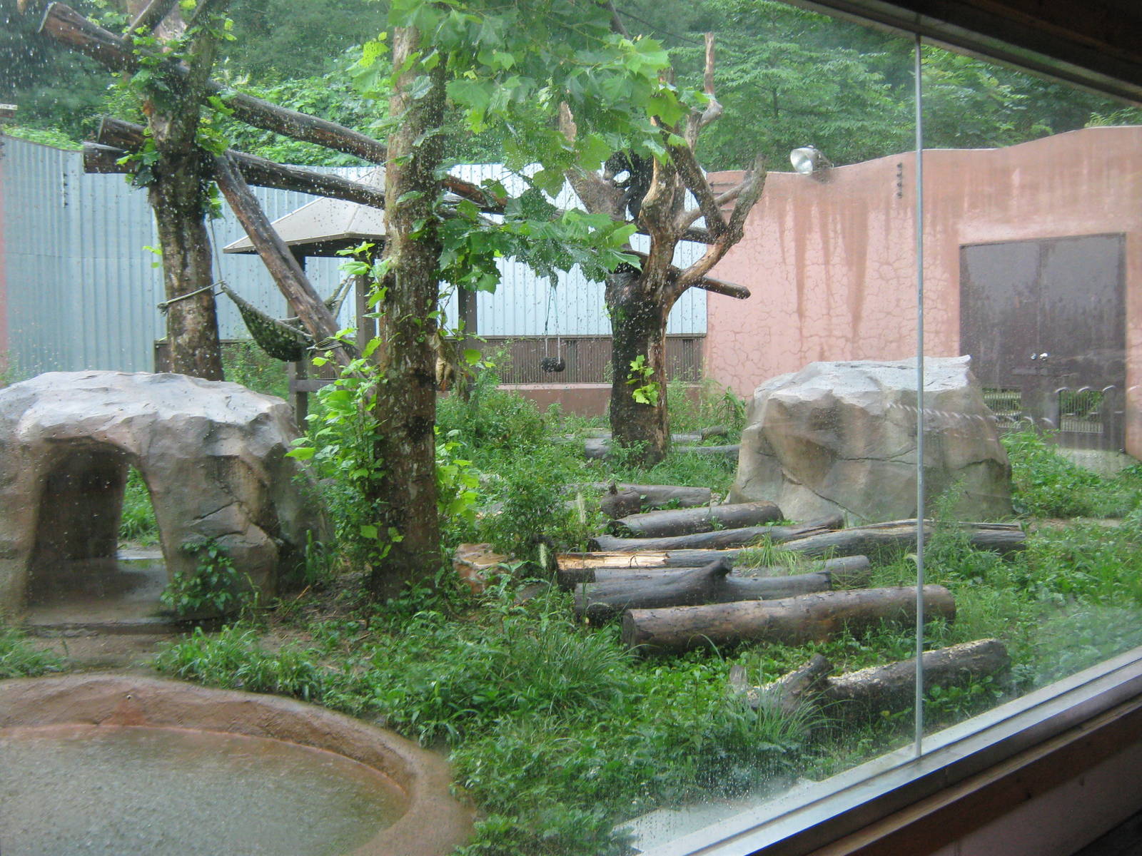 enclosure for Malayan sun bear