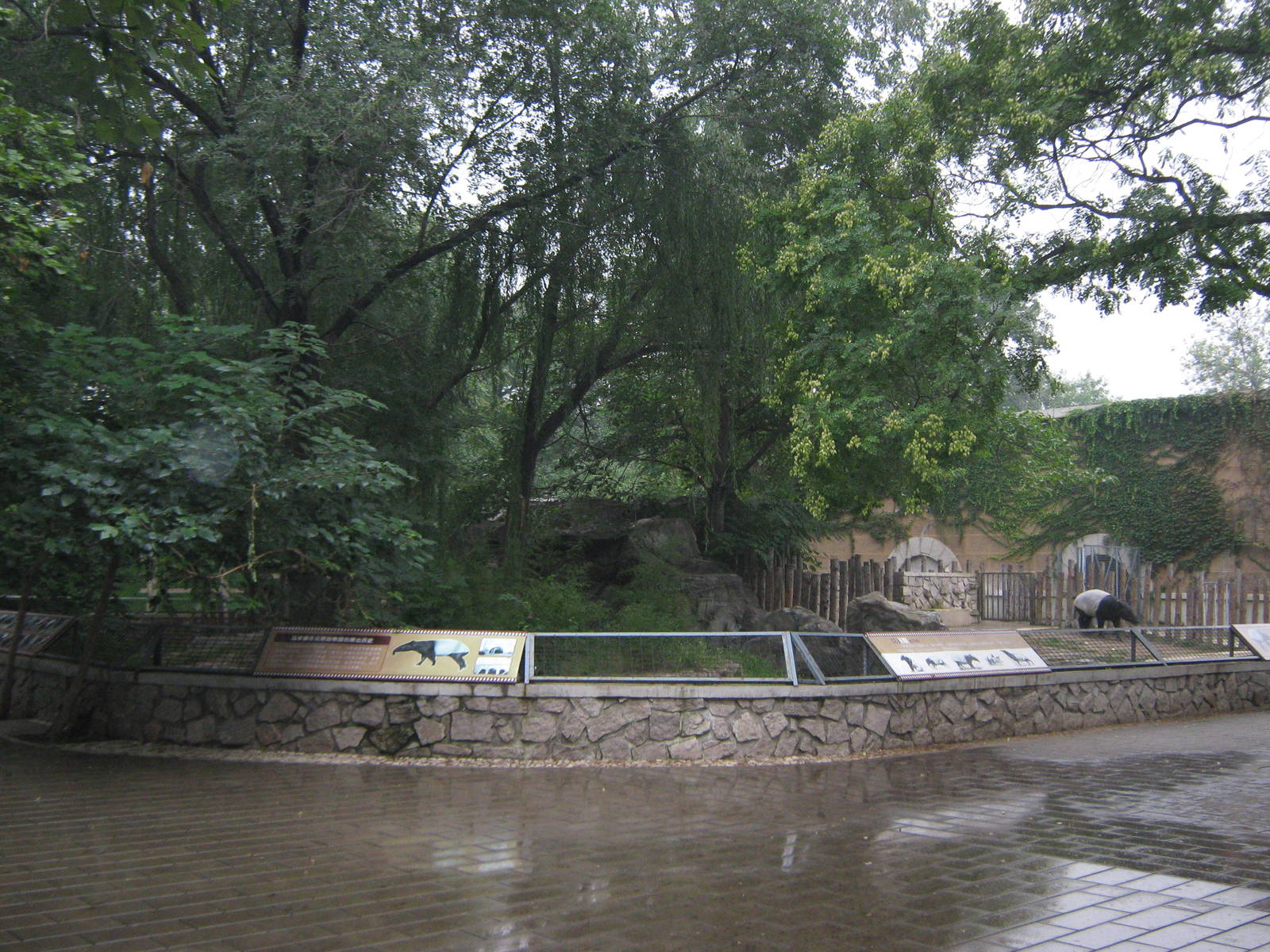 enclosure for Malayan tapirs