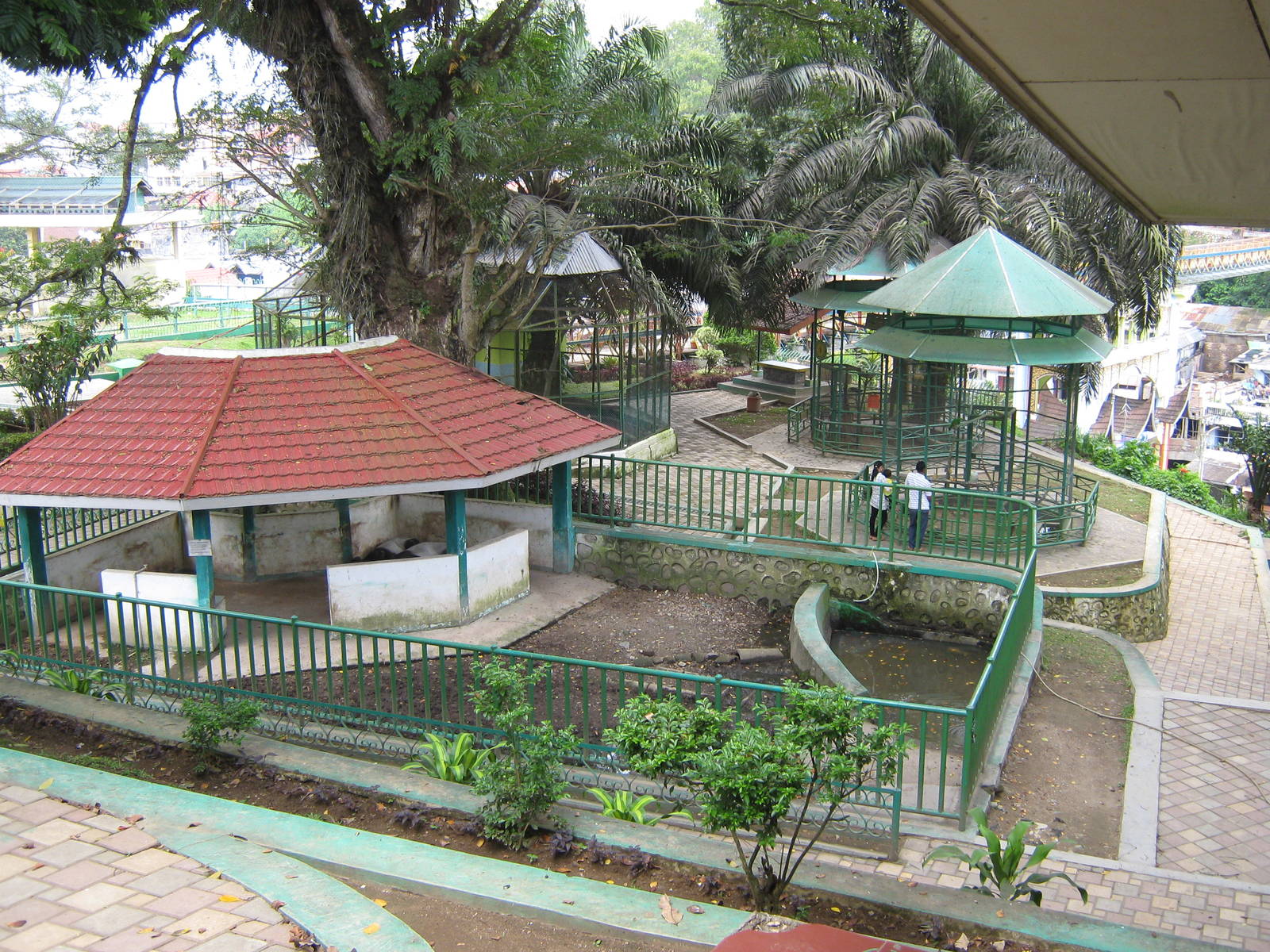enclosure for Malayan tapirs