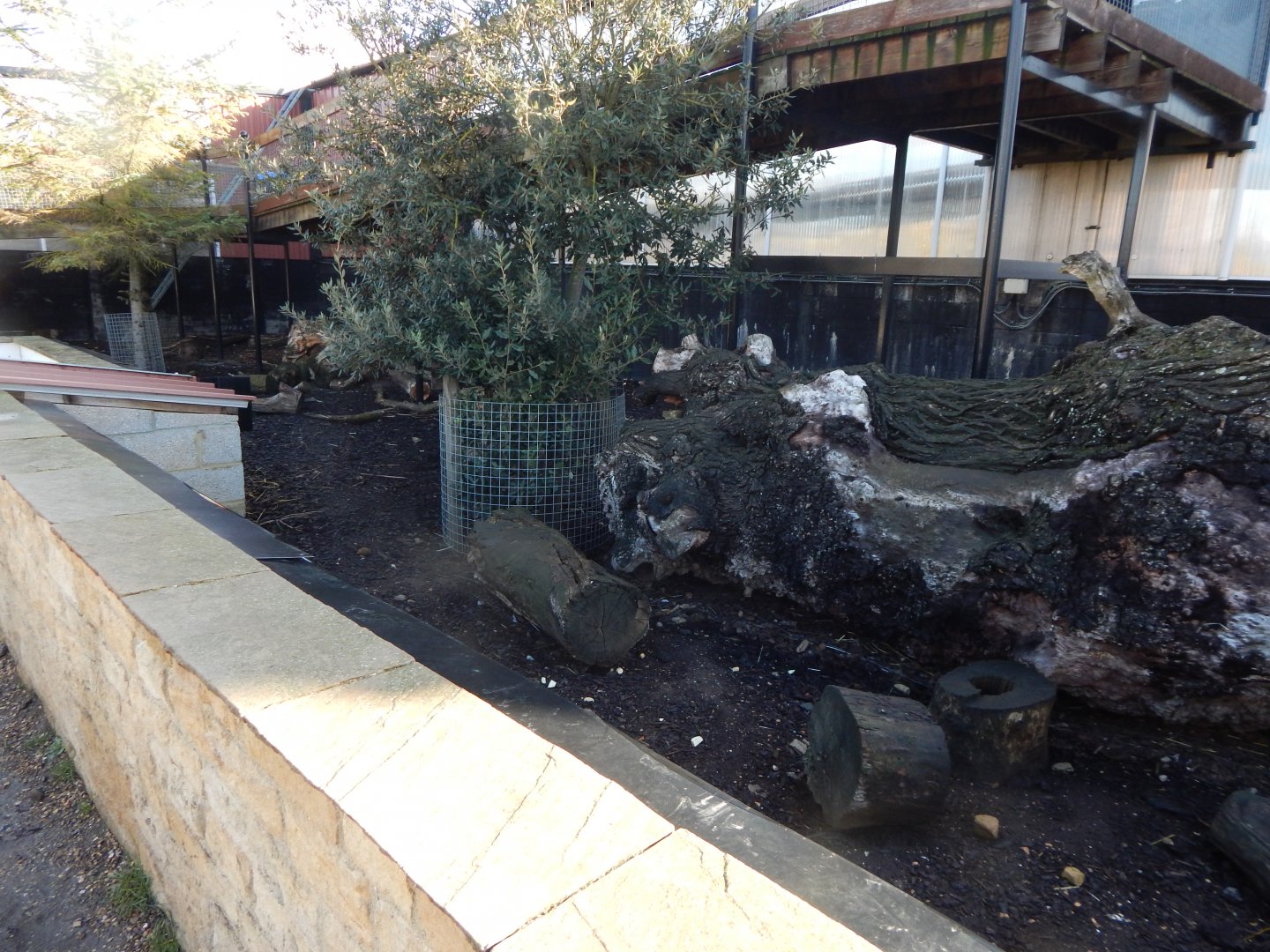 Enclosure for Meerkat/Crested porcupine 021125