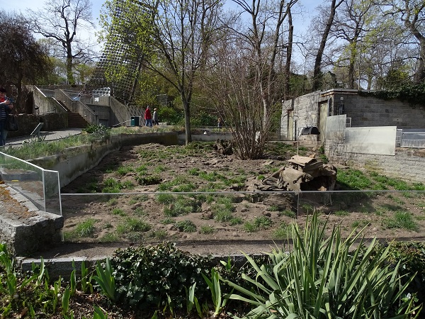 Enclosure for meerkats (04/22)