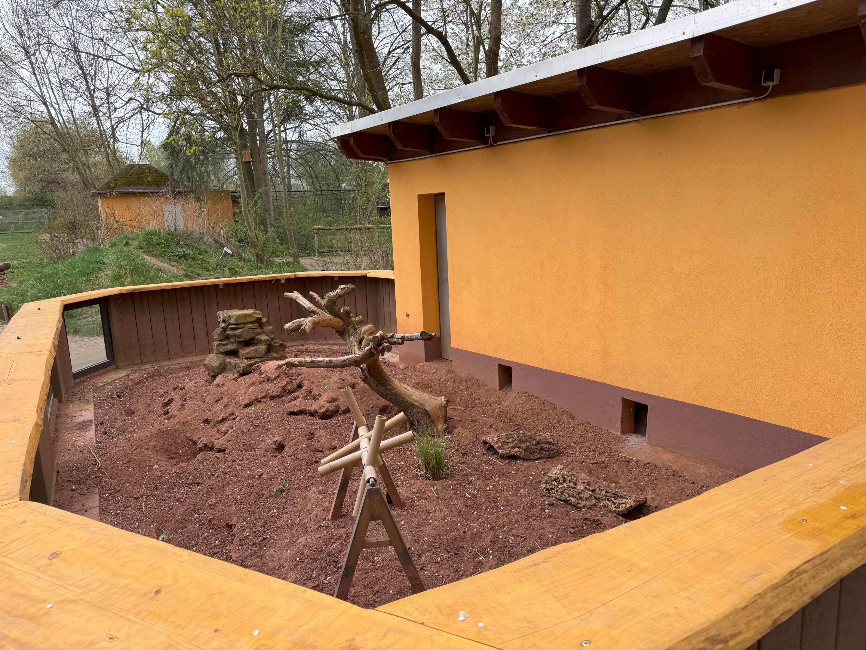 Enclosure for meerkats (Suricata suricatta)