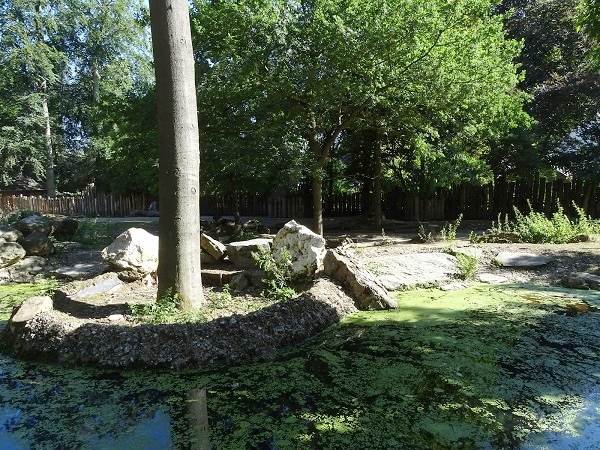 Enclosure for musk ox (07/22)