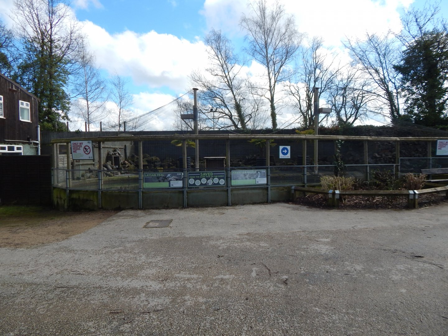 Enclosure for Nene and Laysan duck 040324