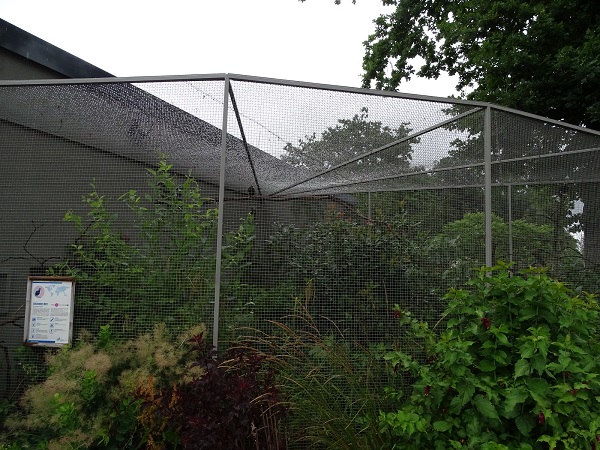 Enclosure for Nicobar pigeons and hill mynahs (07/22)