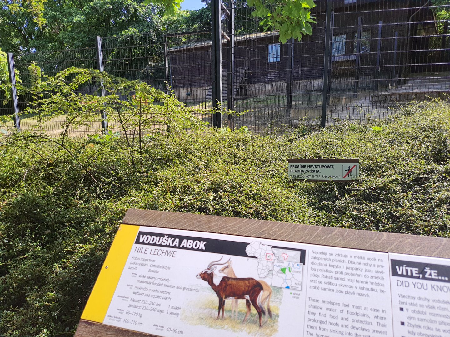 Enclosure for Nile Lechwes- Prague Zoo Praha