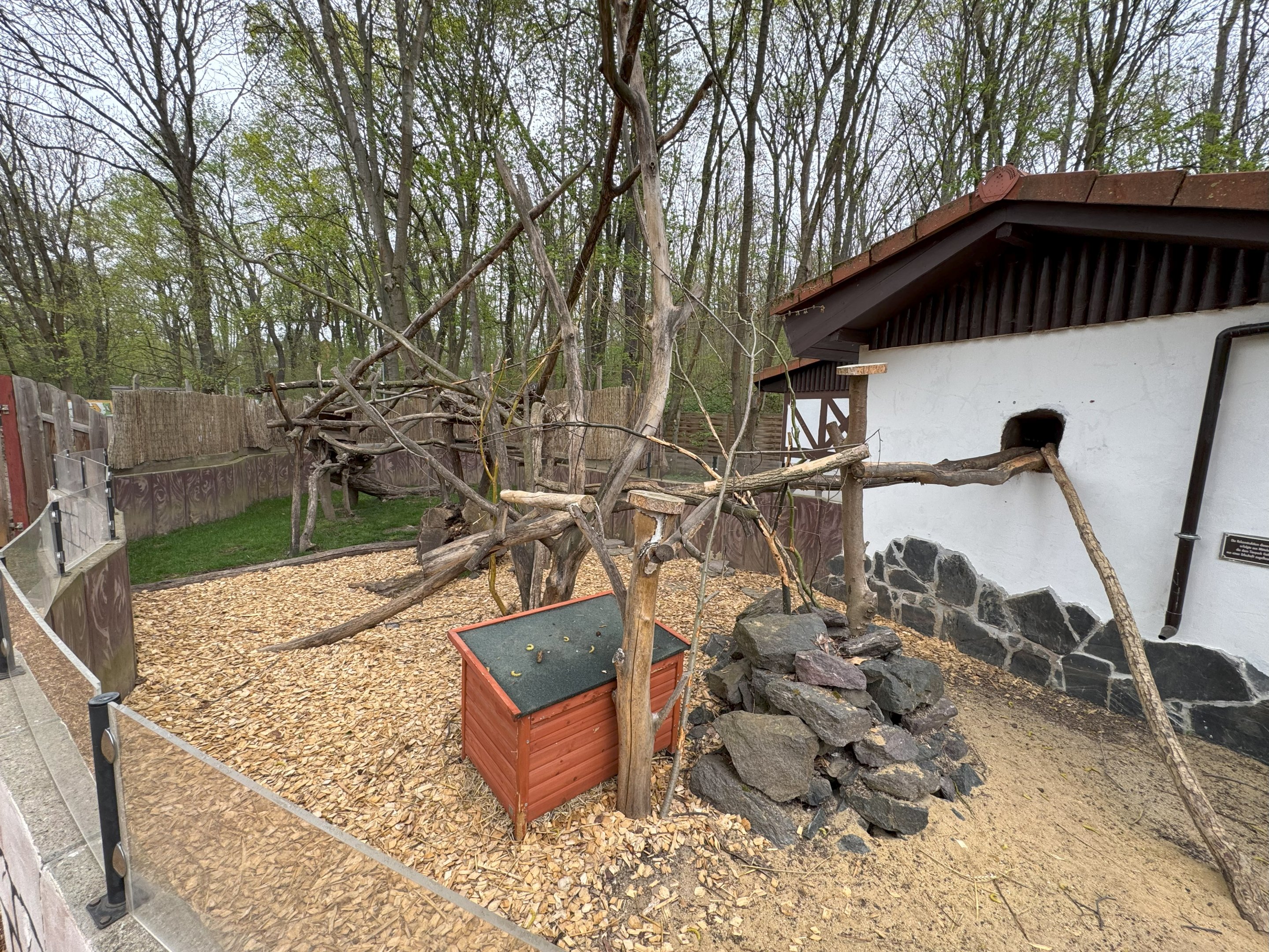 Enclosure for North American porcupine (Erethizon dorsatum)
