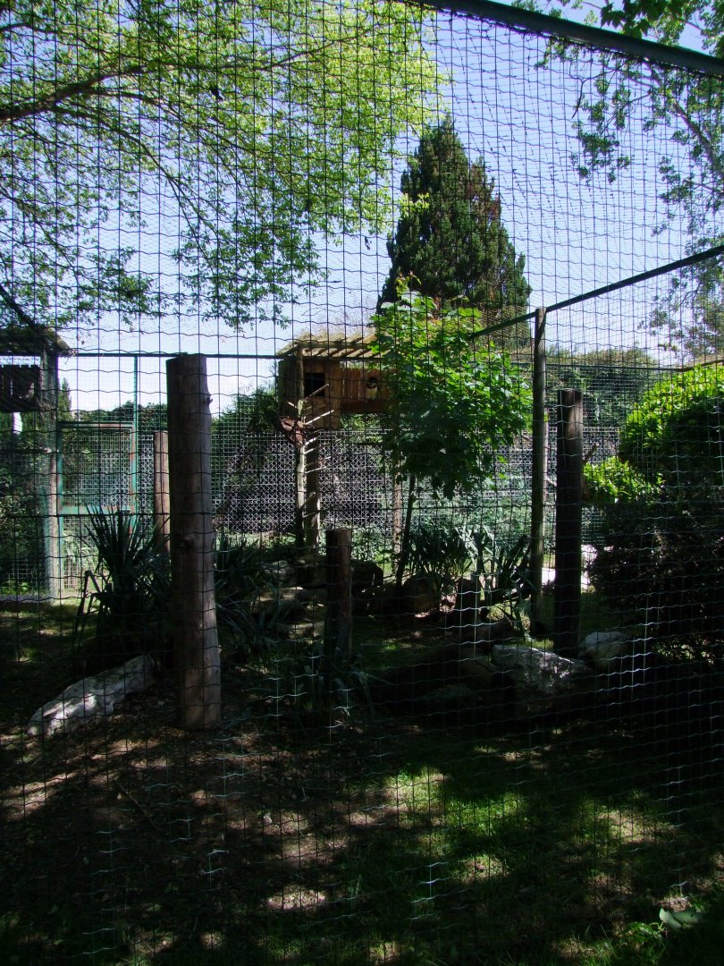 Enclosure for owl