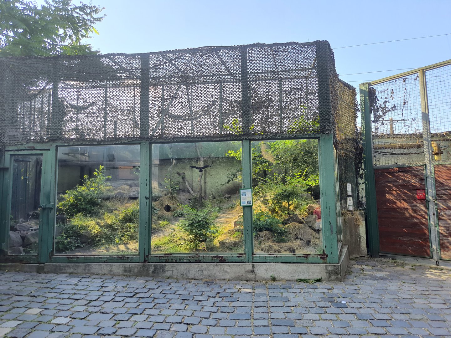 Enclosure for Pallas Cat