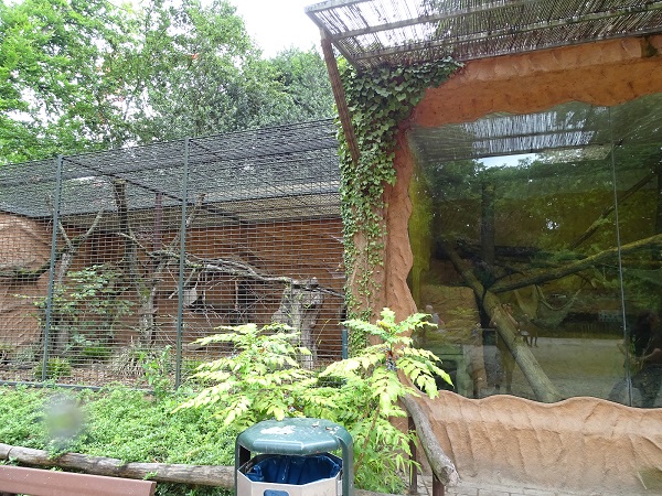 Enclosure for palm civets (07/22)