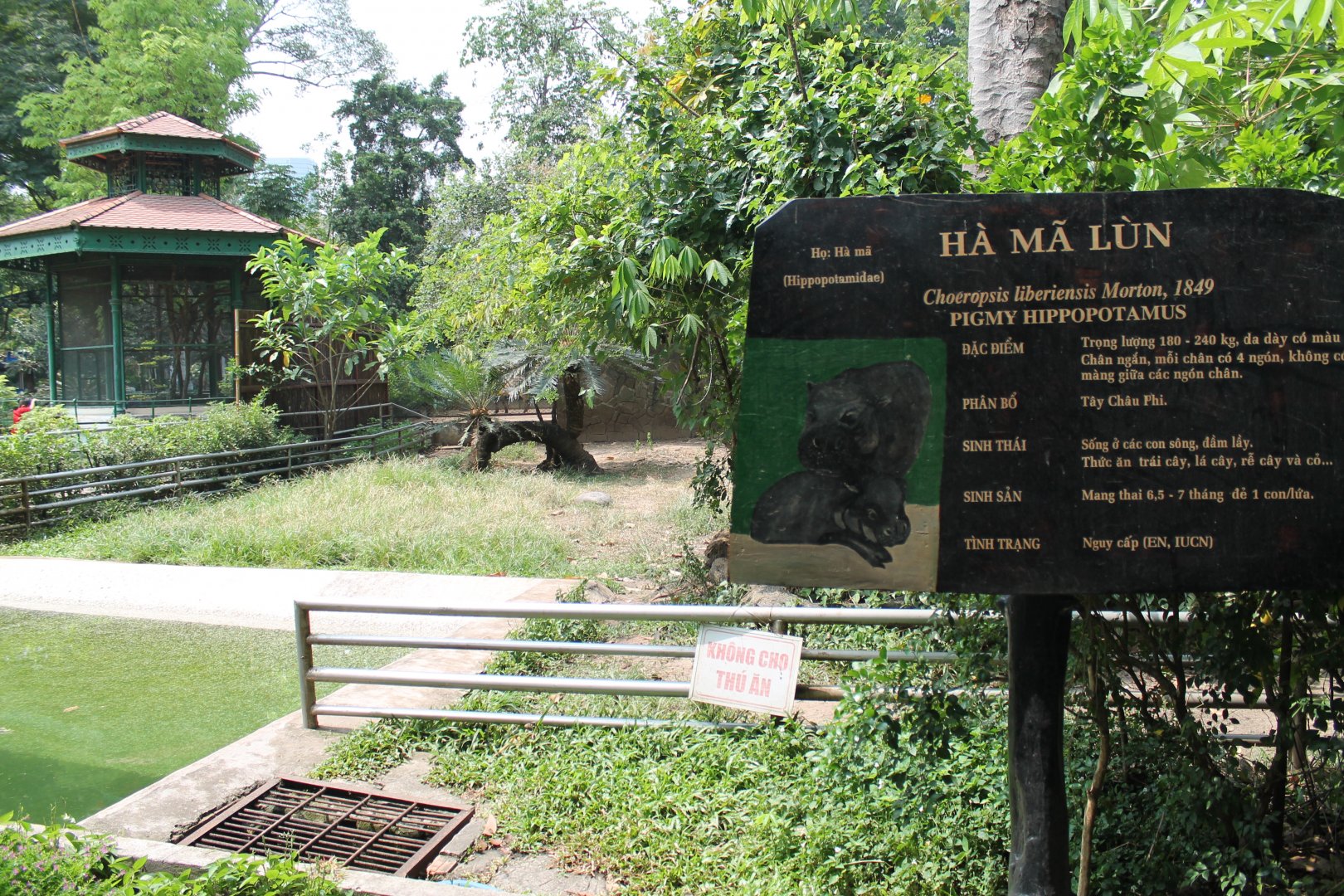 enclosure for Pigmy Hippo
