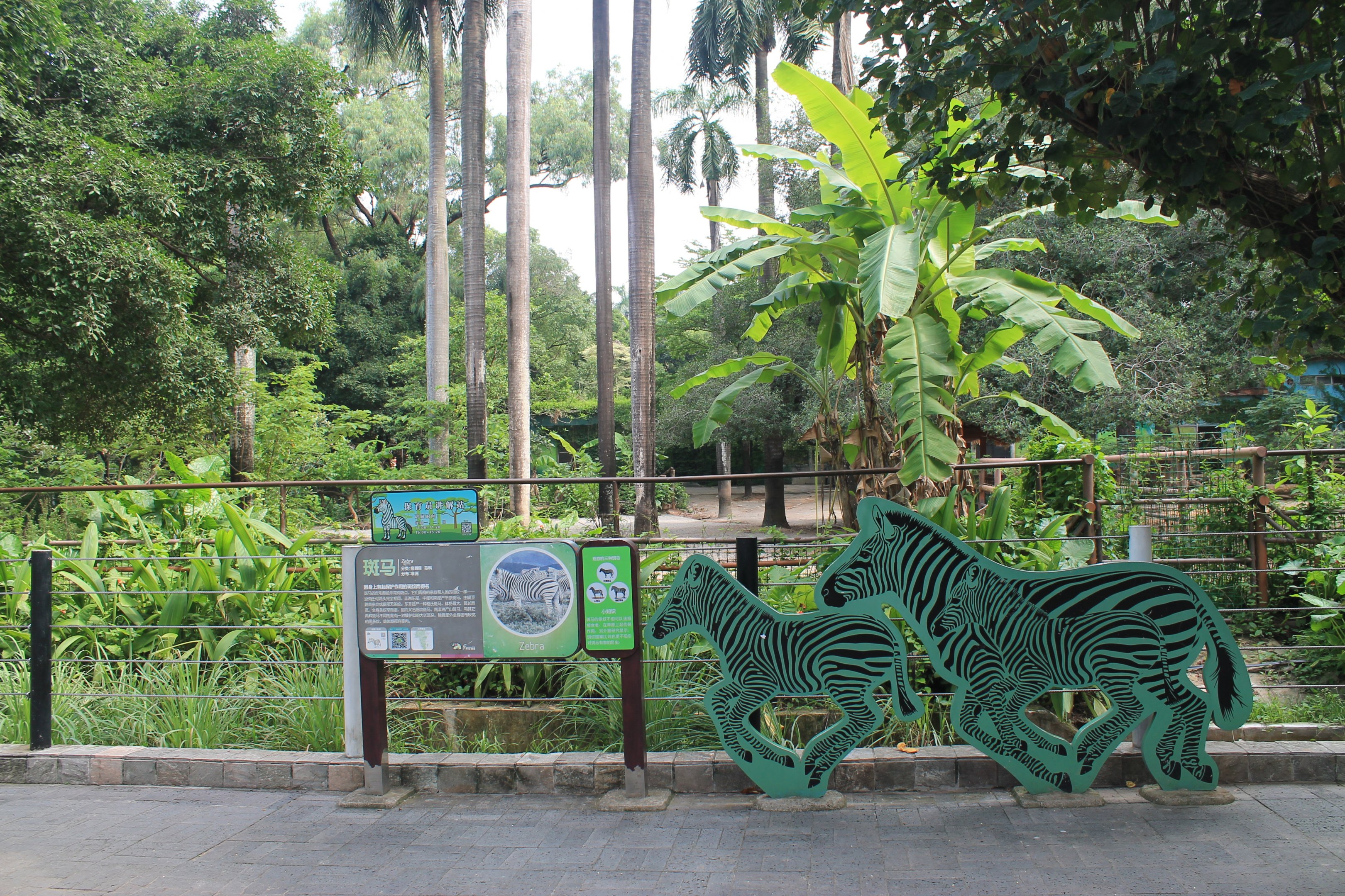 Enclosure for Plains Zebra (Equus quagga)