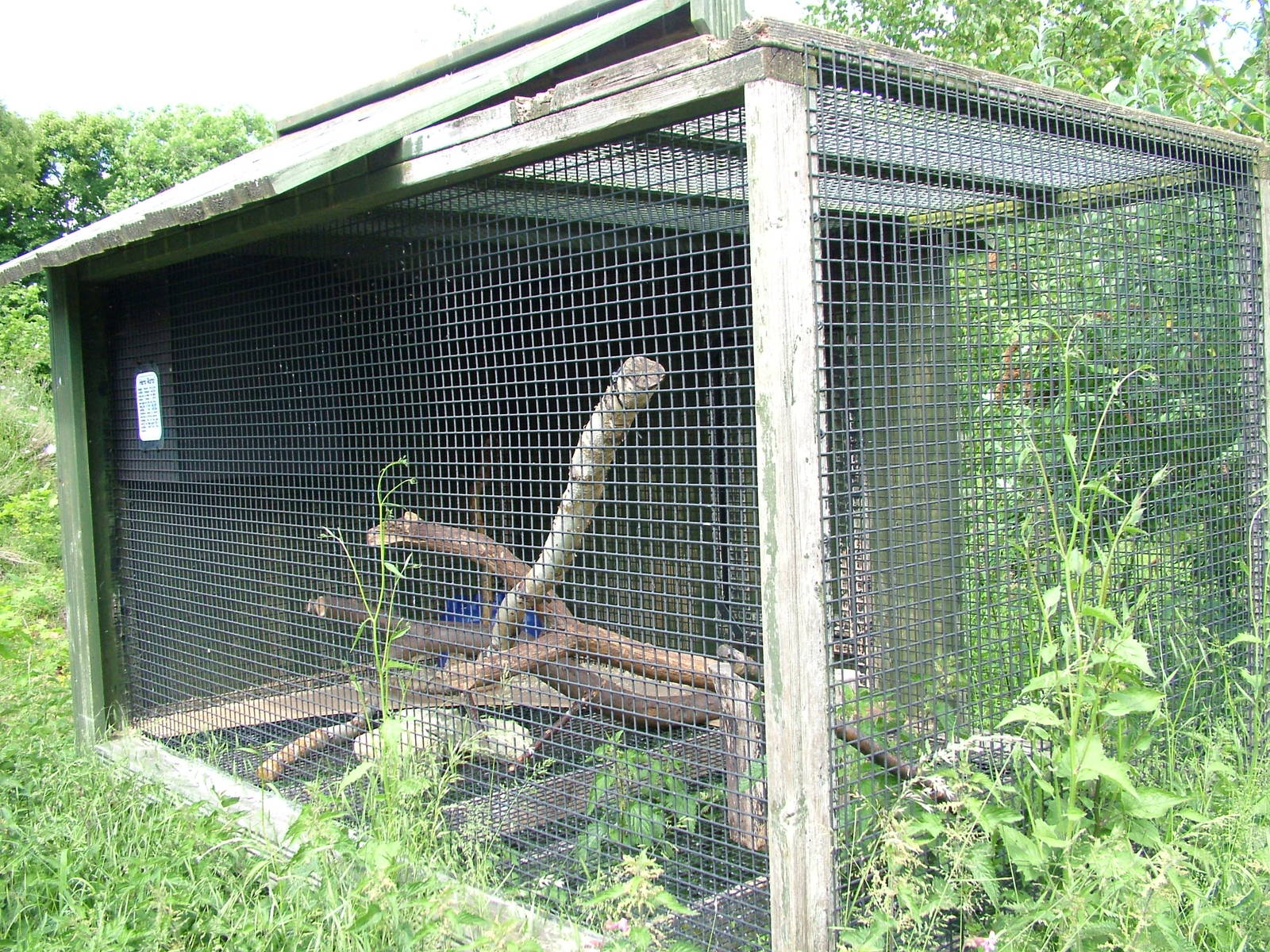 Enclosure for Pouched Rats at Tropical Butterfly House 13/06/09