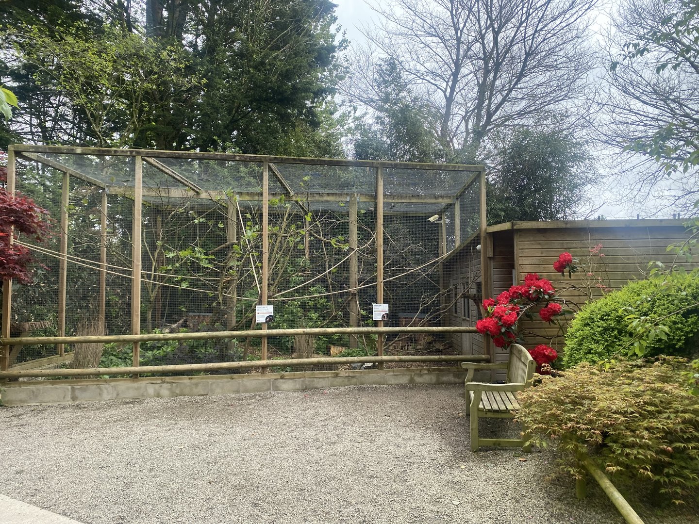 Enclosure for Prevost’s squirrels and Owstons banded palm civet 060523