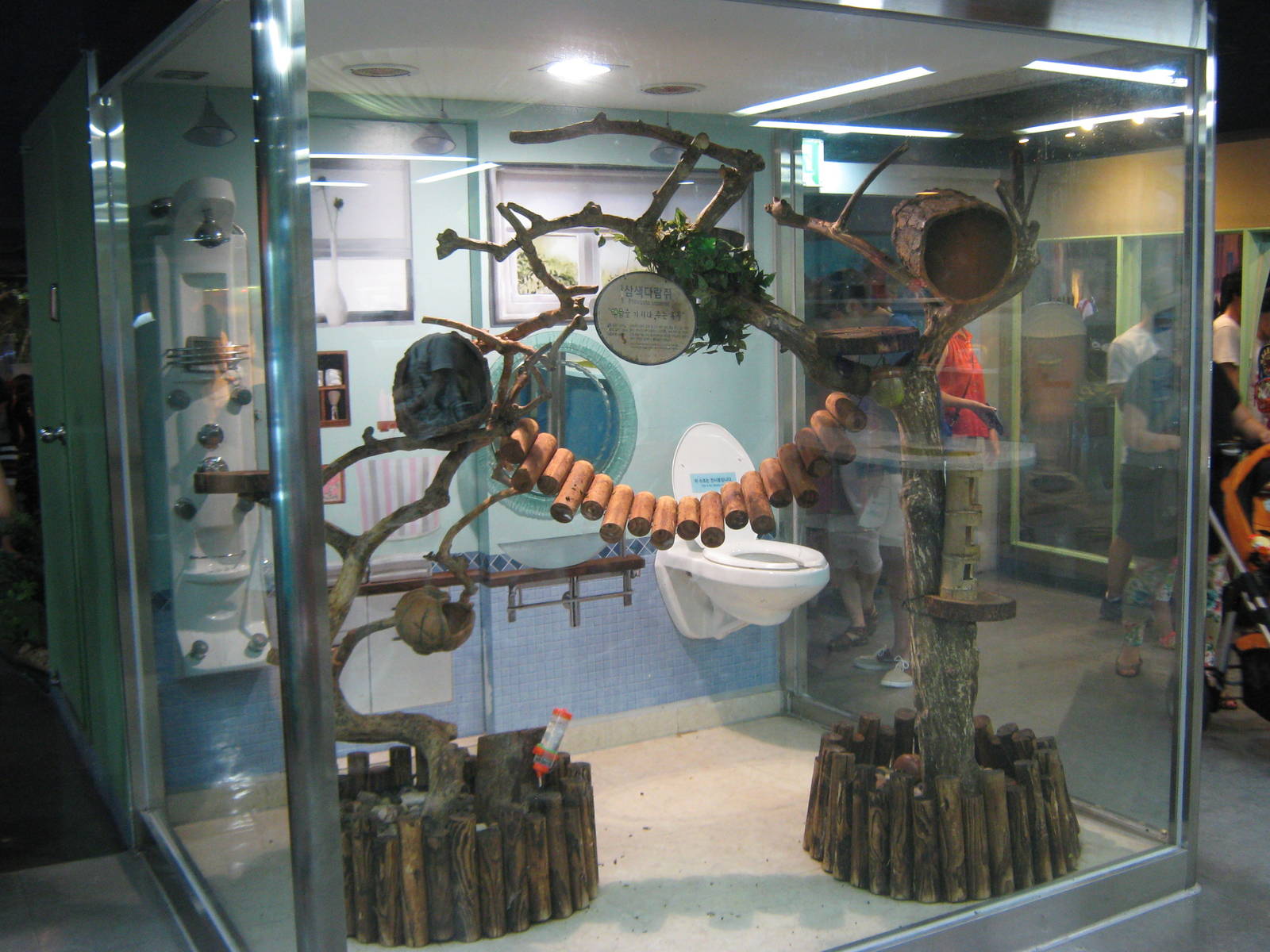 enclosure for Prevosts squirrels (Callosciurus prevostii)